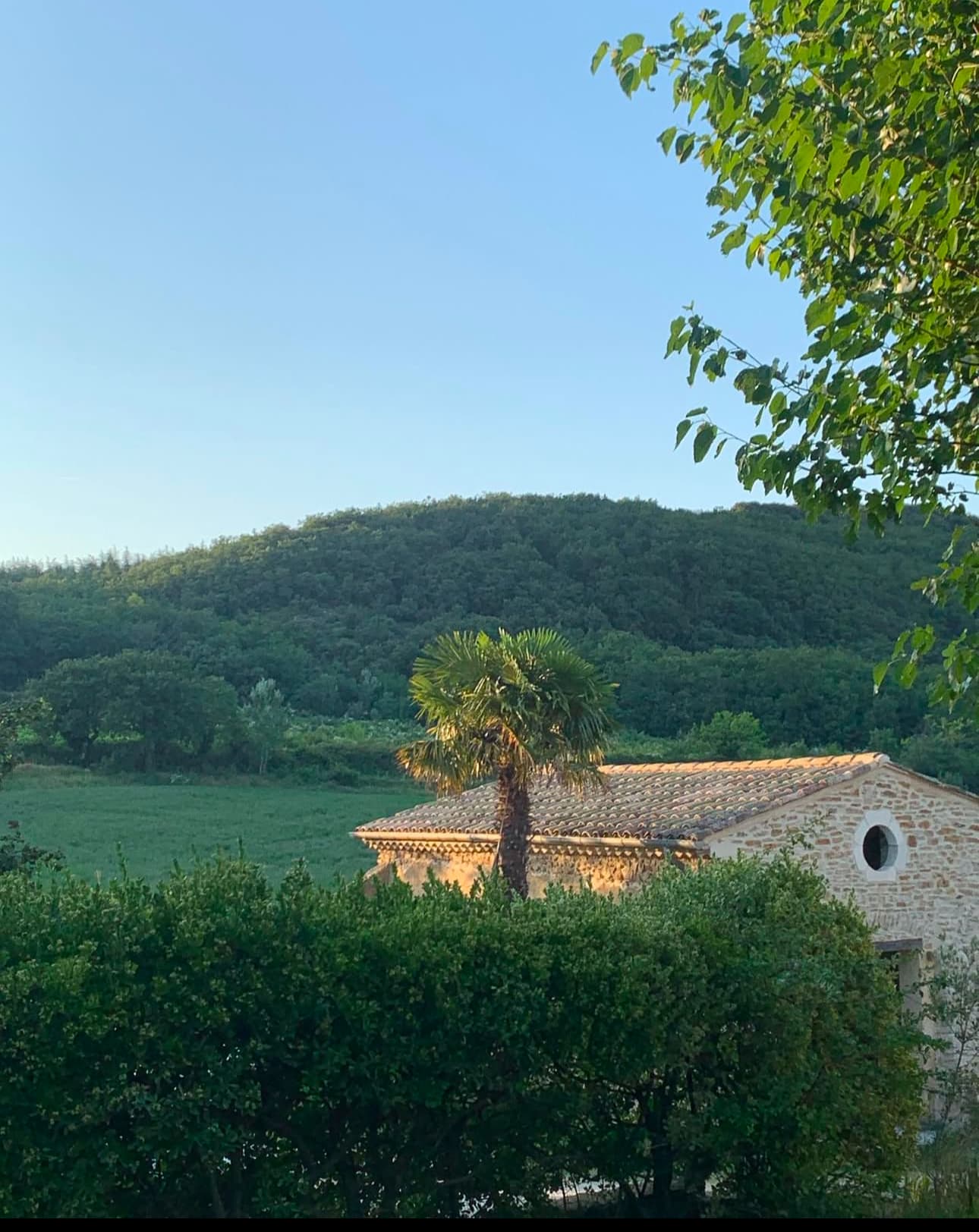 Le Mas - Jardin