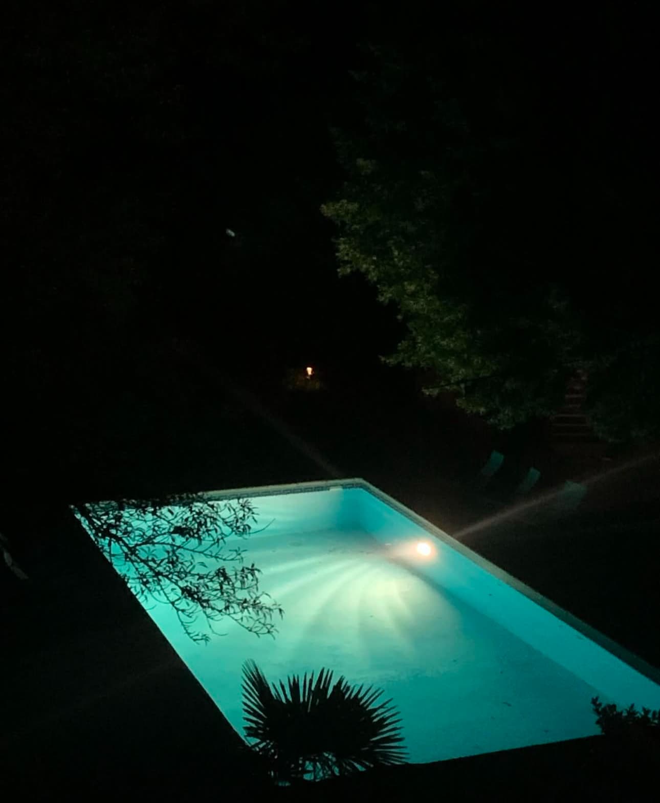 Le Mas - Piscine