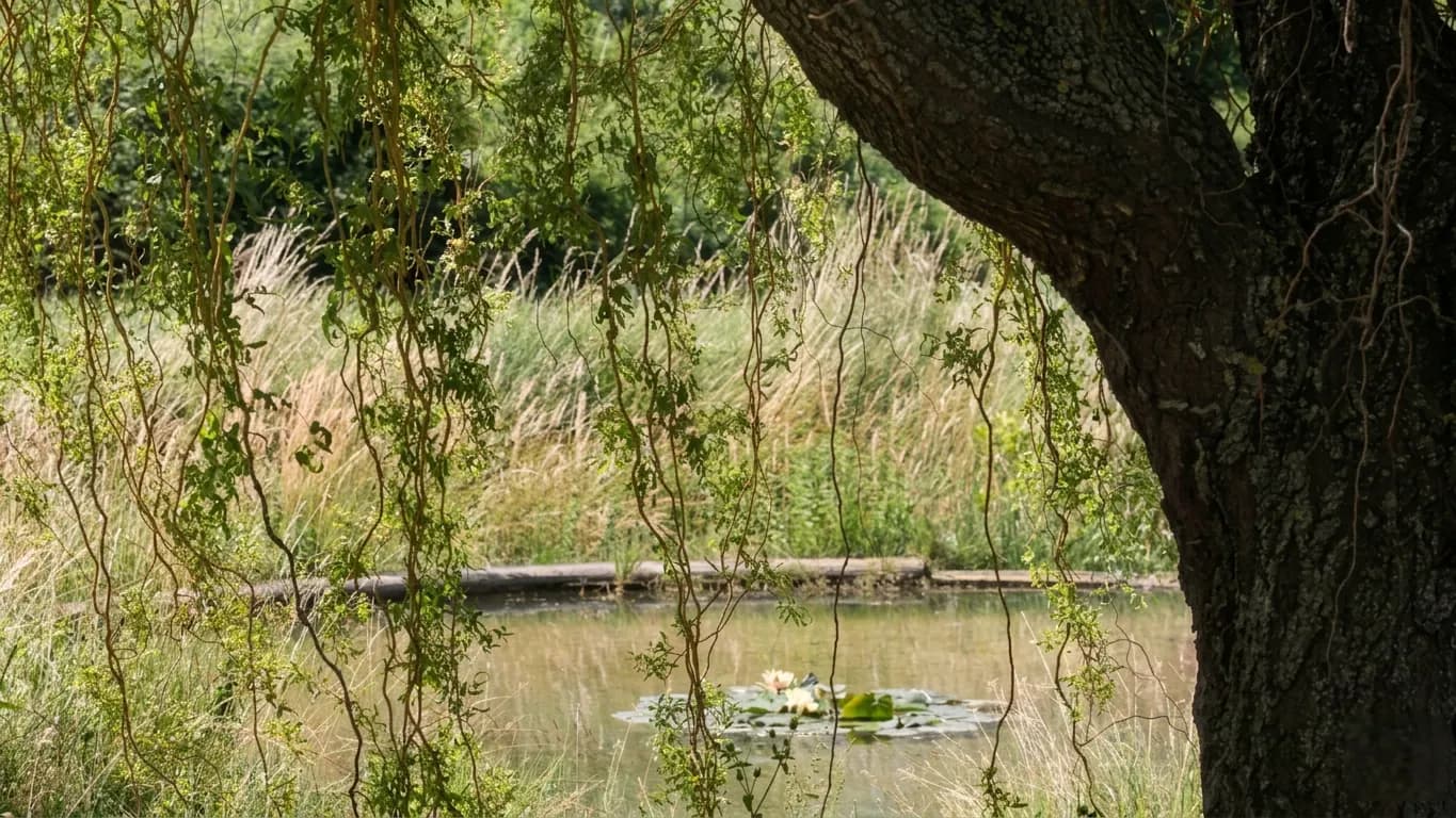 Outdoors 11