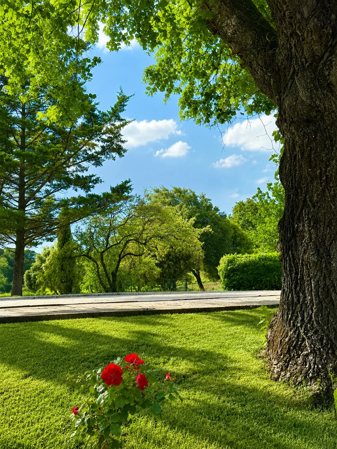 Outdoors 08