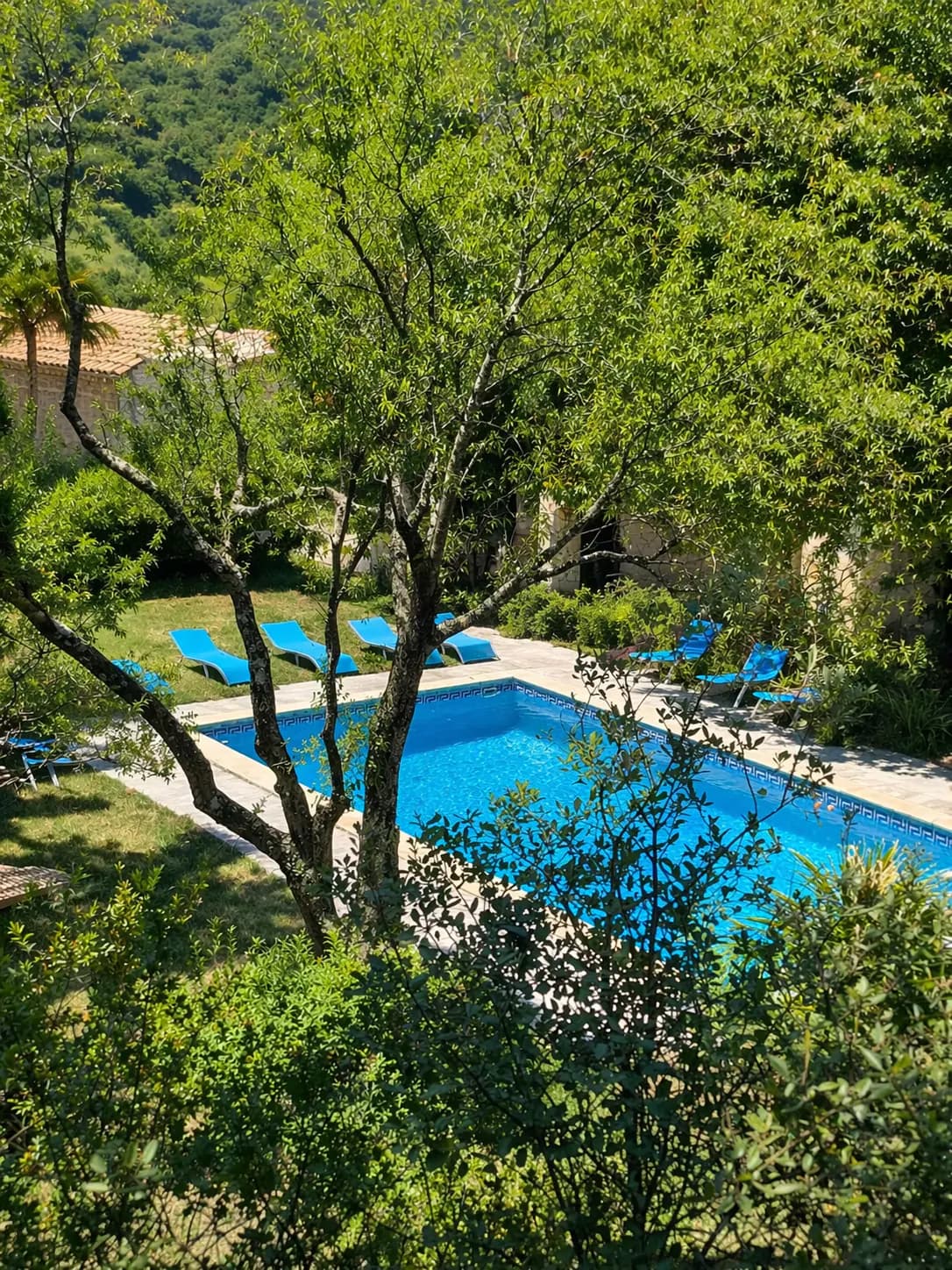 Pool 02