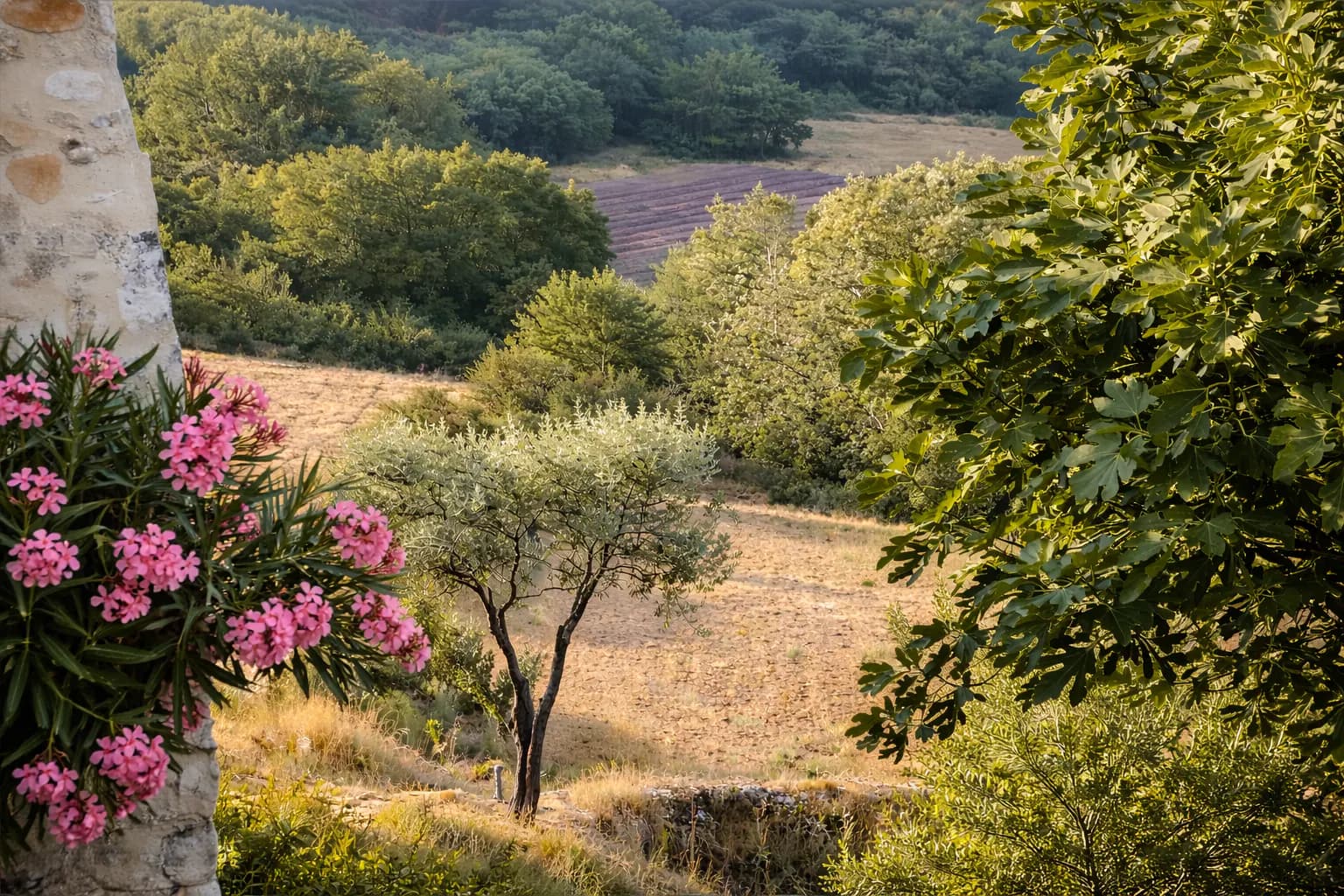 Landscapes 03