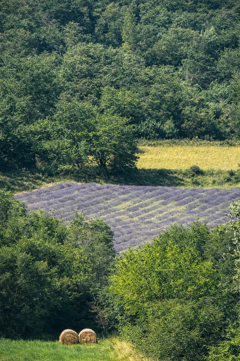 Landscapes 05