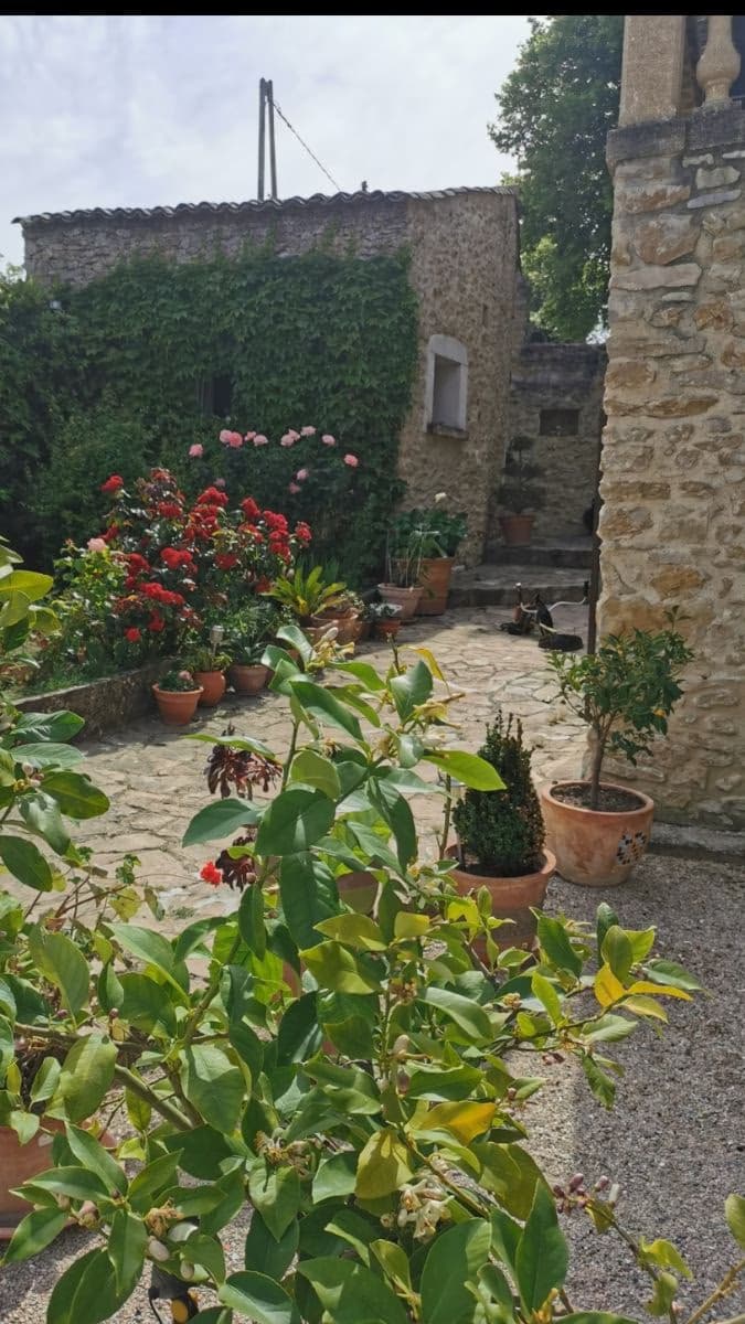 Paysage méditerranéen