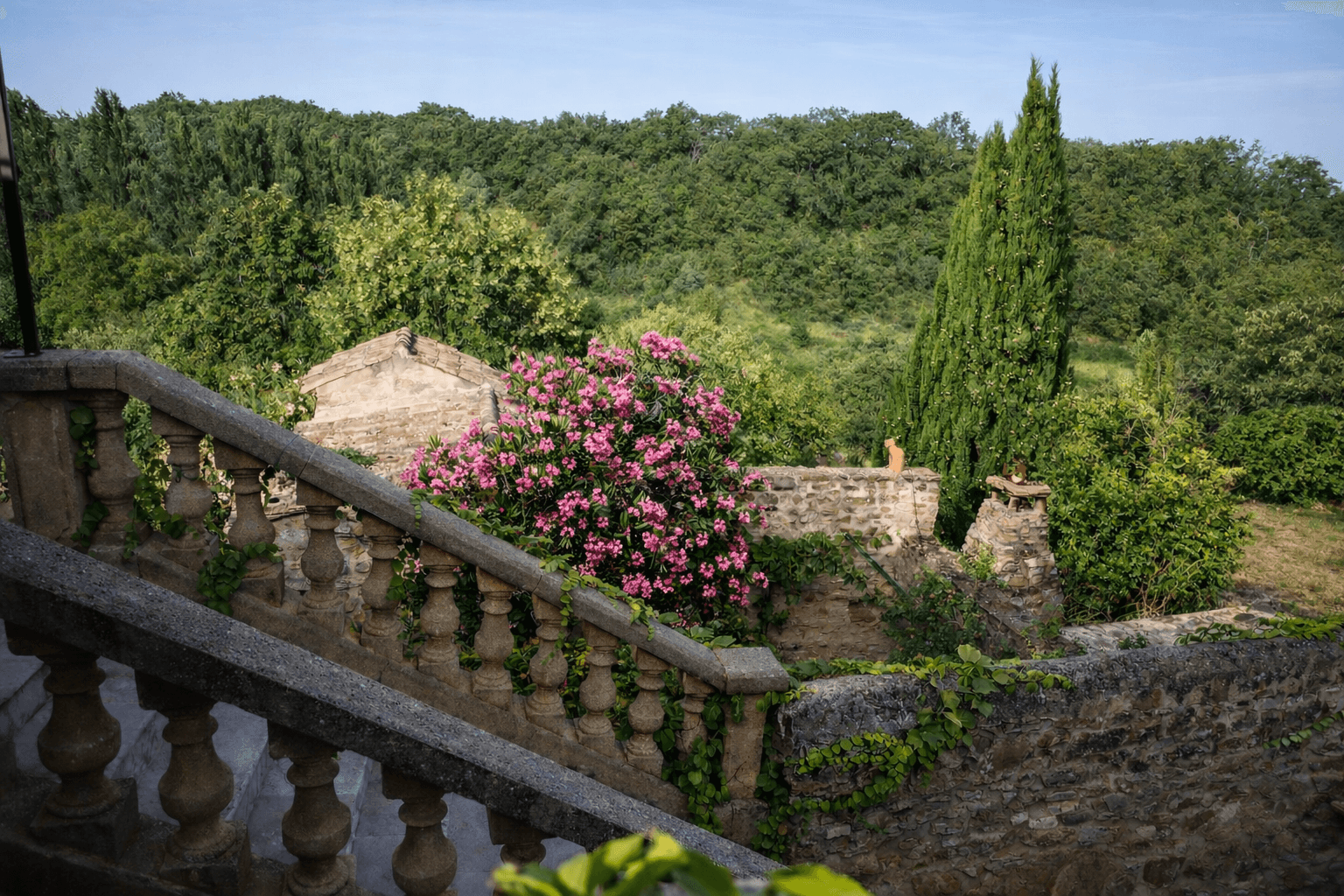 Paysage méditerranéen