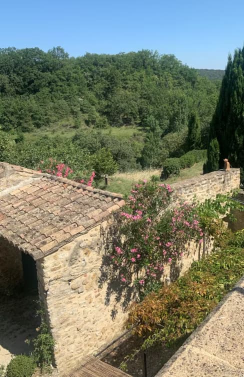 Vue depuis le gîte