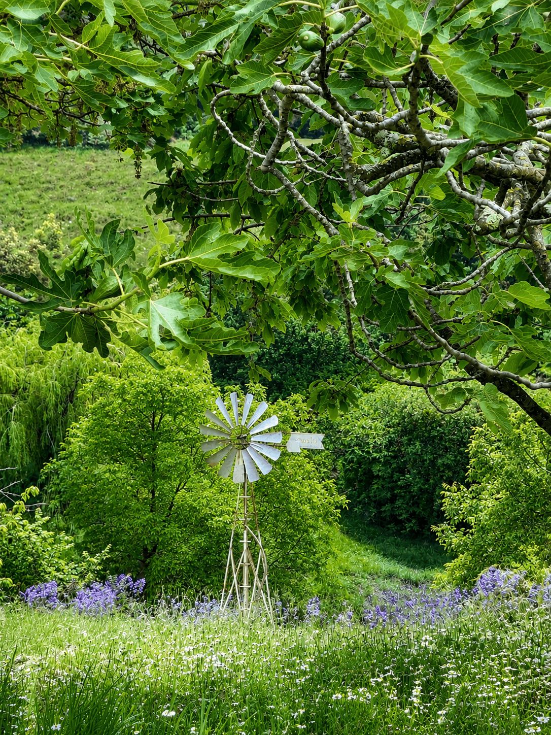 Le domaine en images 19