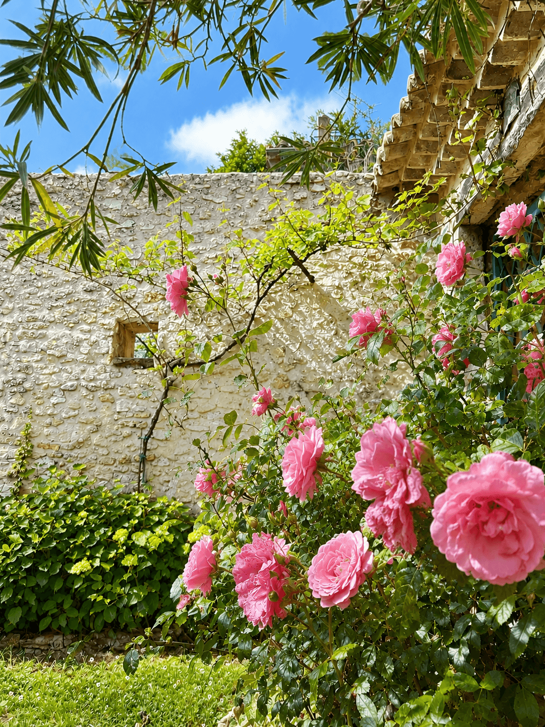 Le domaine en images 20