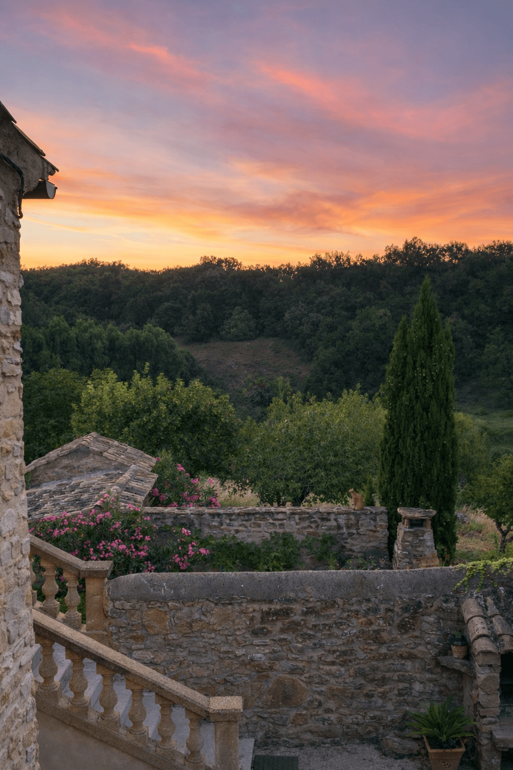 Le domaine en images 6