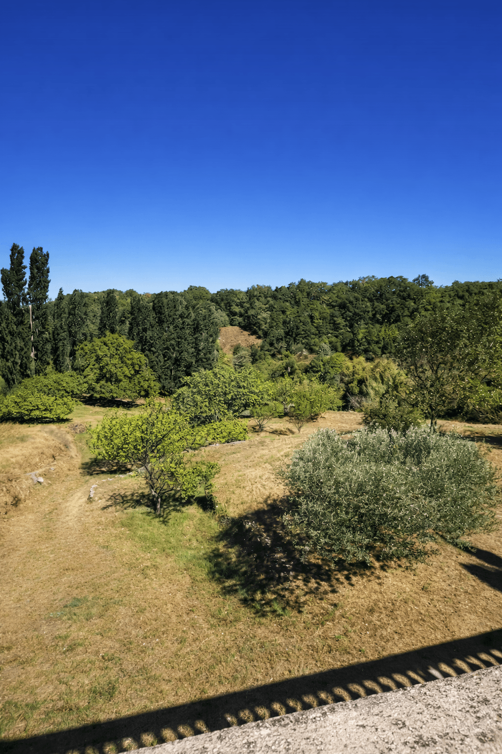 Côté Source 20