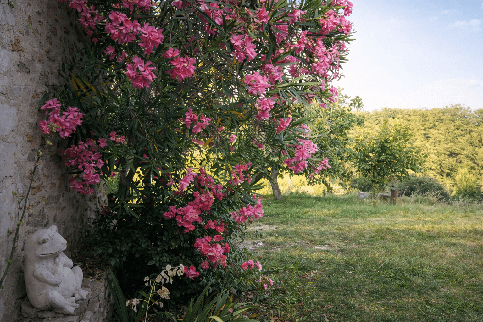 Côté Source 30