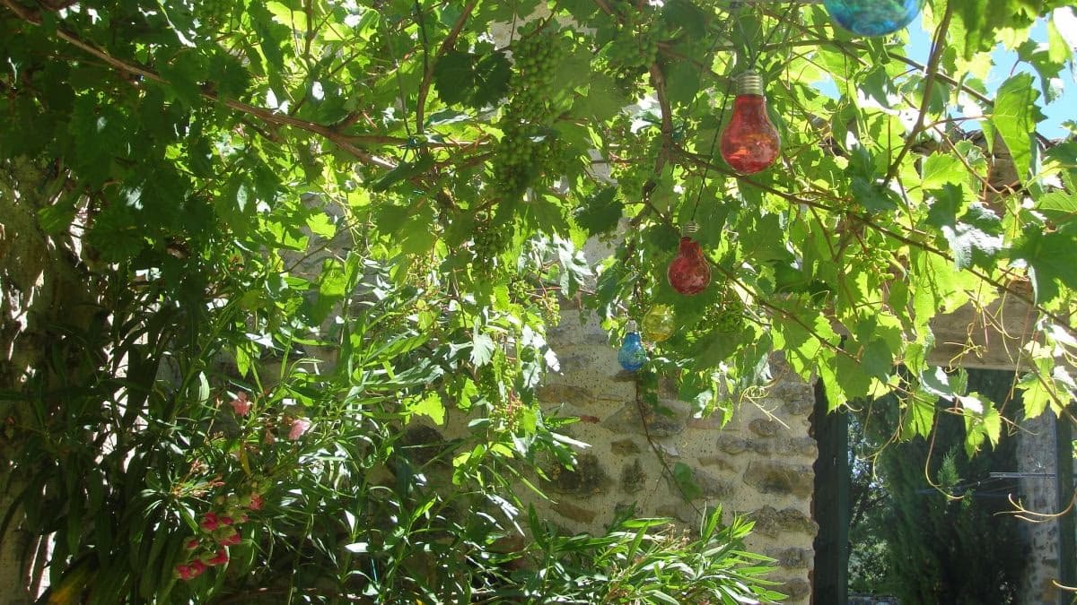 Côtes du Vivarais : l'AOC confidentielle qui entoure Saint-Montan