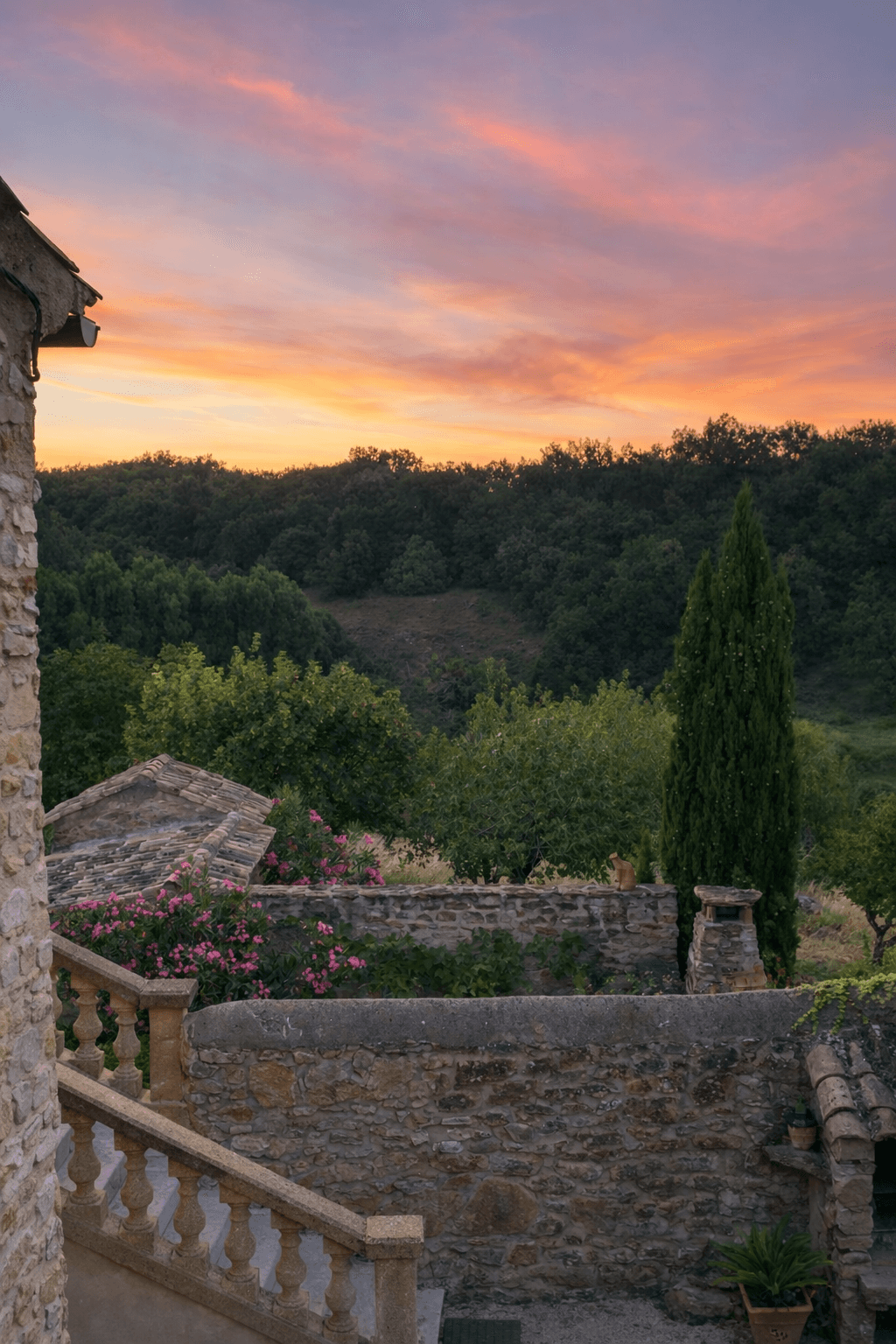 Le domaine du Mas d'Eylieux 1