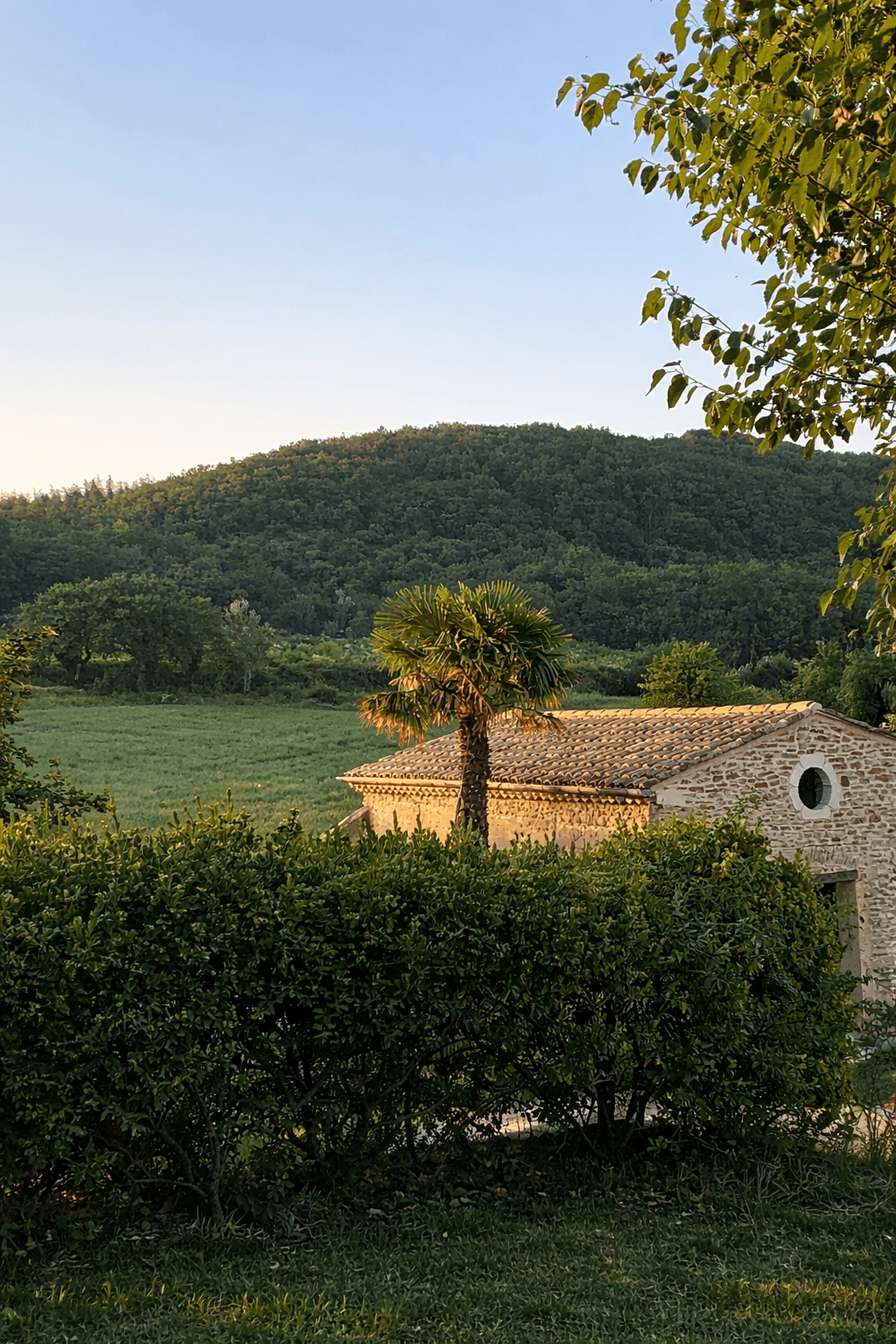 Le domaine du Mas d'Eylieux 2