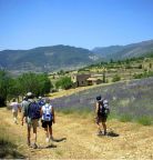 Randonnées pédestres autour du Mas d'Eylieux à Saint Montan en Ardèche
