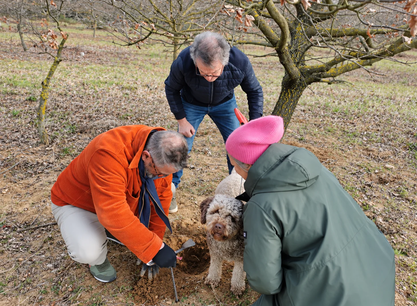 Un chien au pelage bouclé se tient près de participants qui observent le sol de la truffière