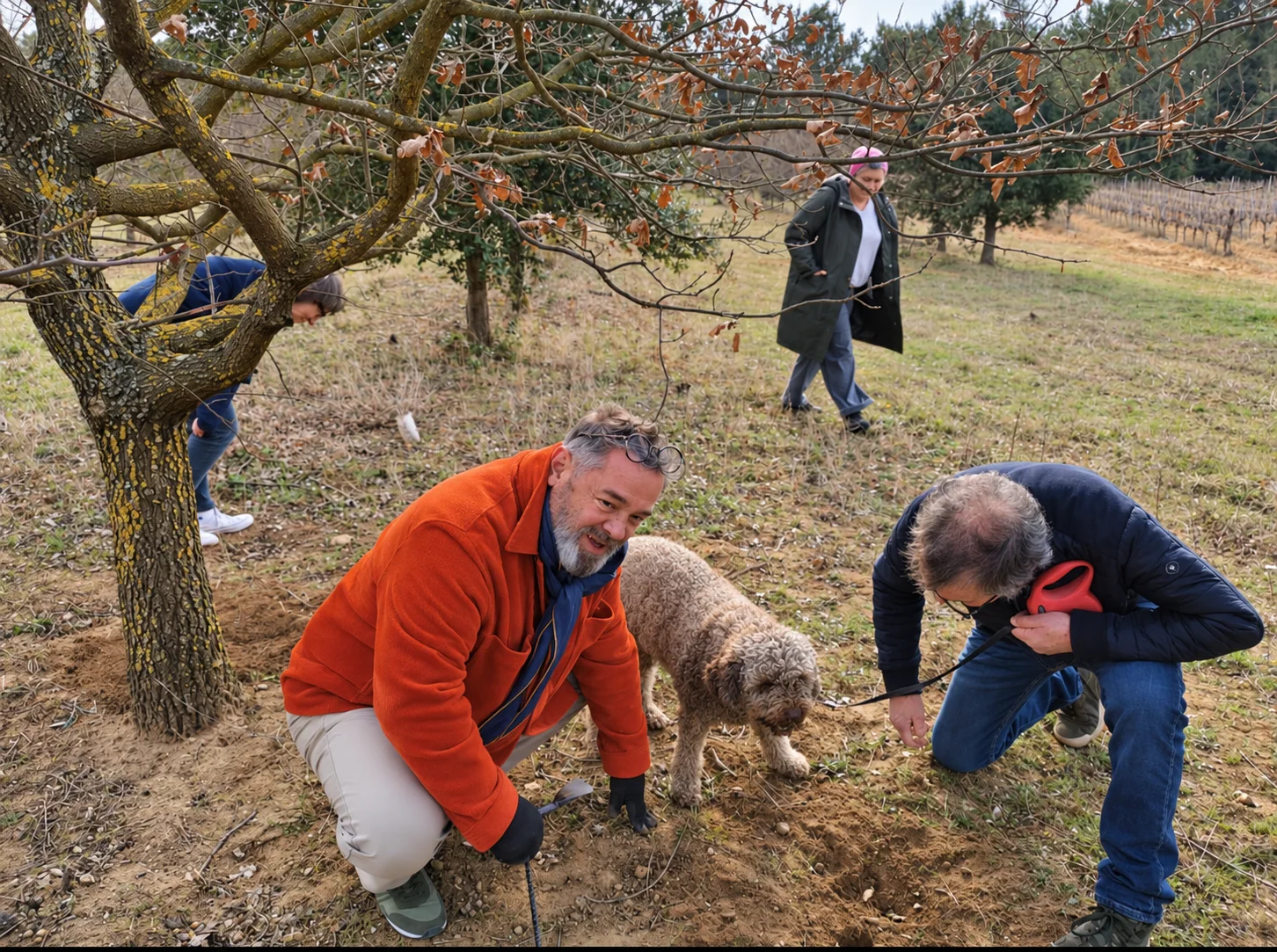 Des participants observent un chien truffier près d'une zone de terre dégagée sous les arbres