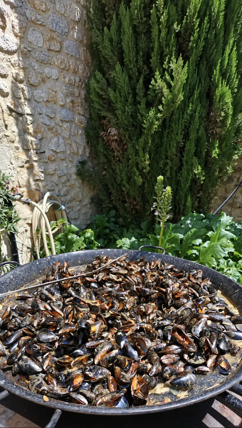 Moules dans une grande poêle pendant la préparation du repas au Mas