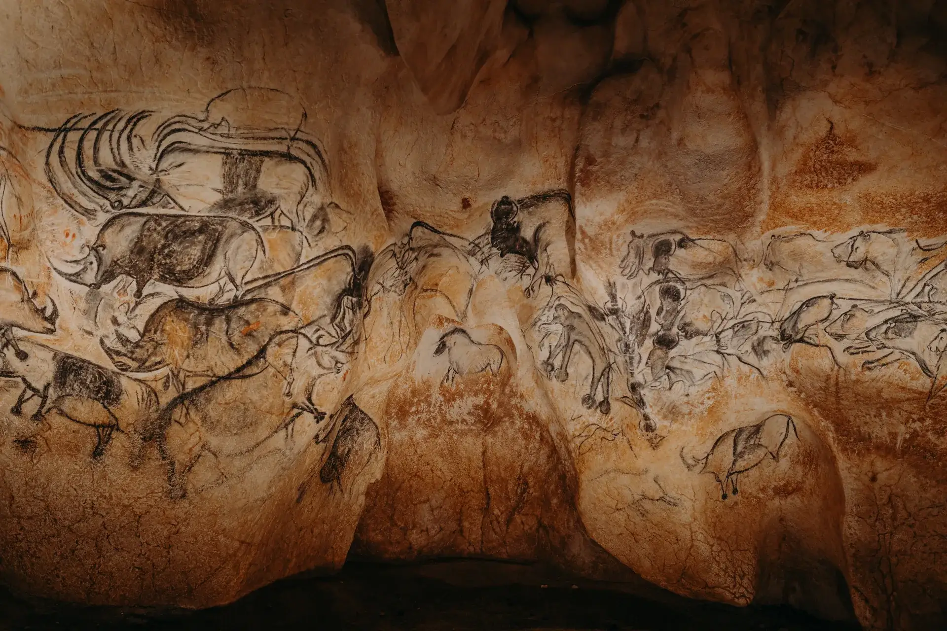 Lions dessinés sur la paroi de la restitution de la grotte Chauvet