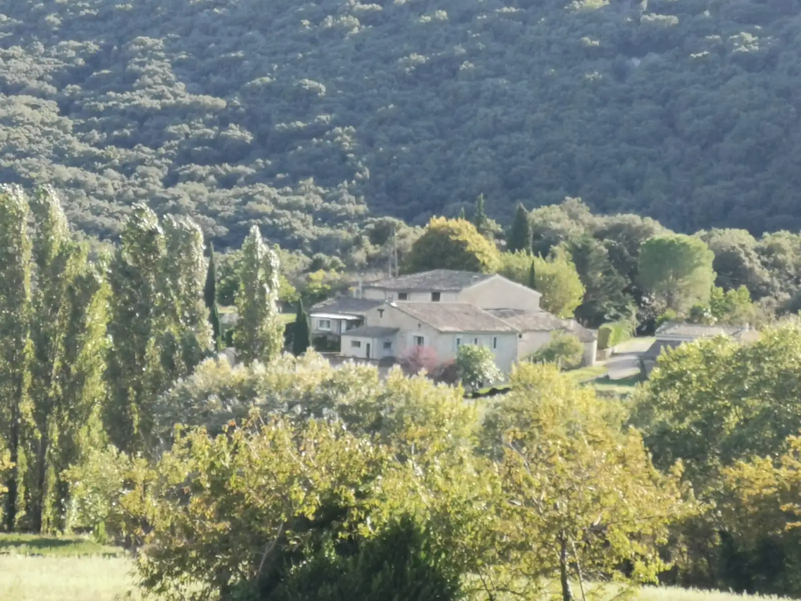 Bâtiments en pierre du Mas vus entre les arbres devant les collines