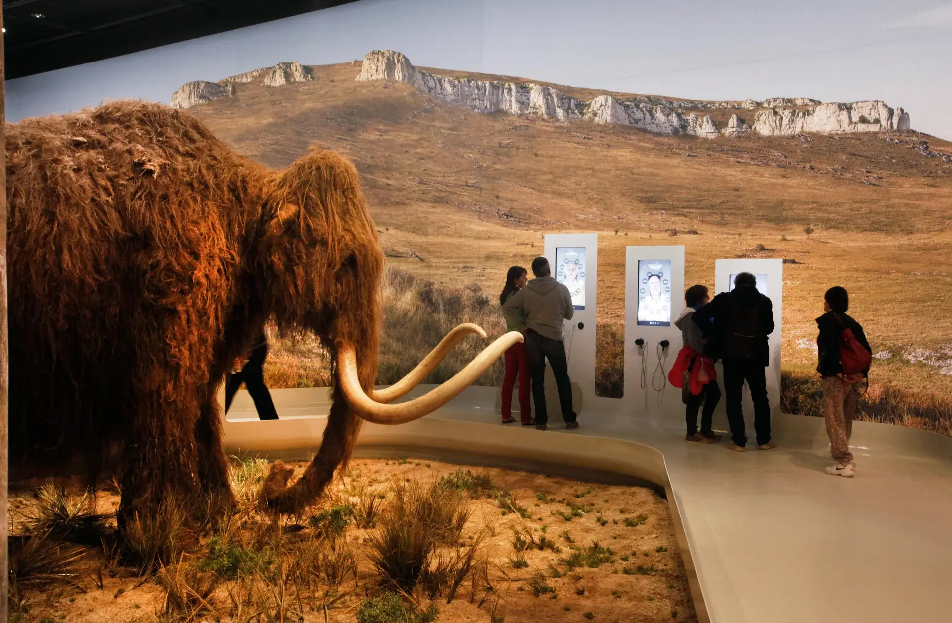 Mammouth laineux présenté dans la Galerie de l’Aurignacien