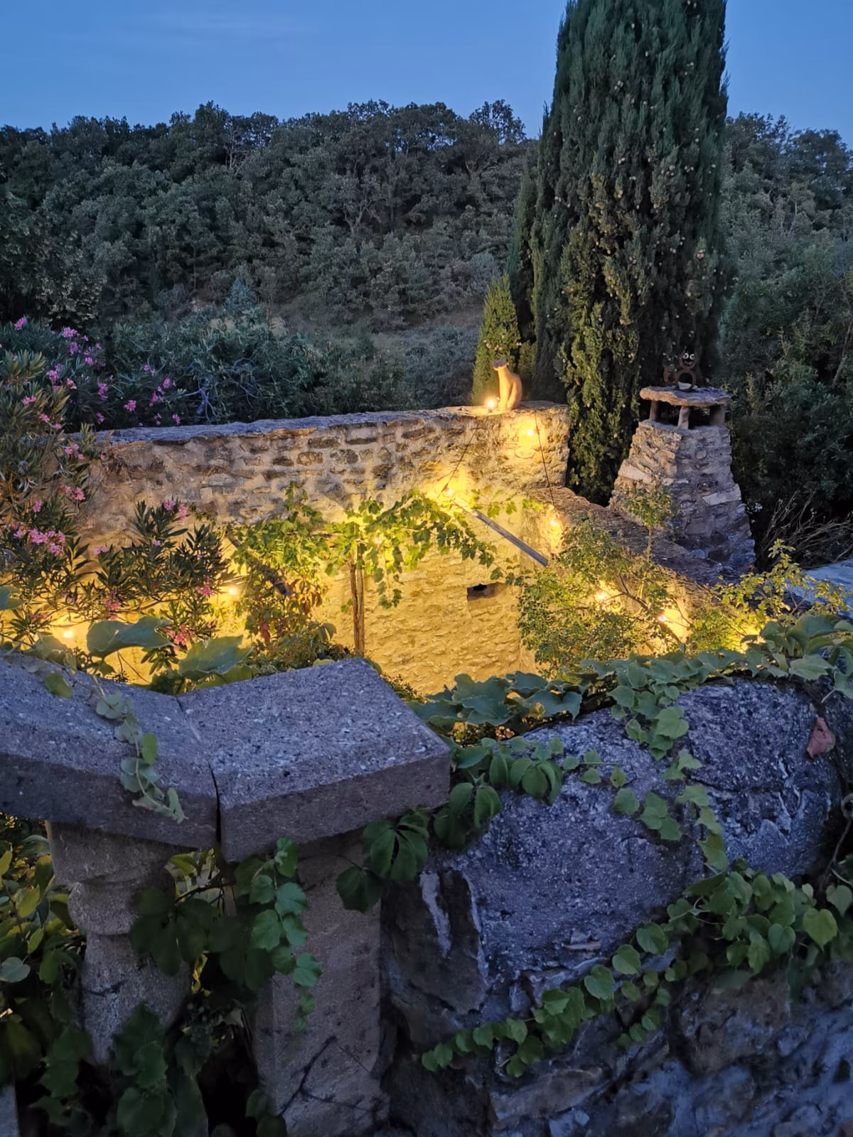 Vue de la piscine 2